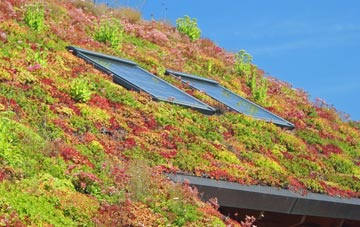 Ranais living roof systems